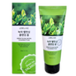 Green Tea Balancing Cleansing Foam